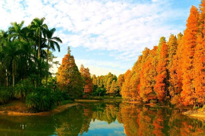 South China National Botanical Garden, China
